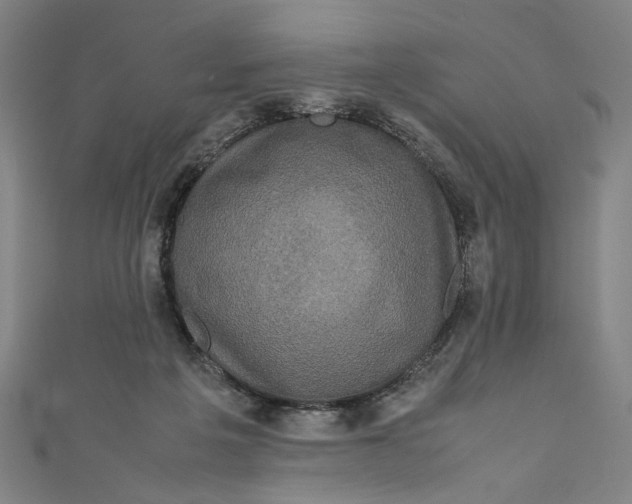 X0000111190217200907221116