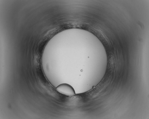 X0000111190218200907221116