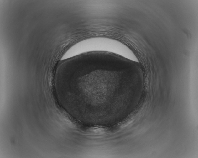 X0000111190219200907221116