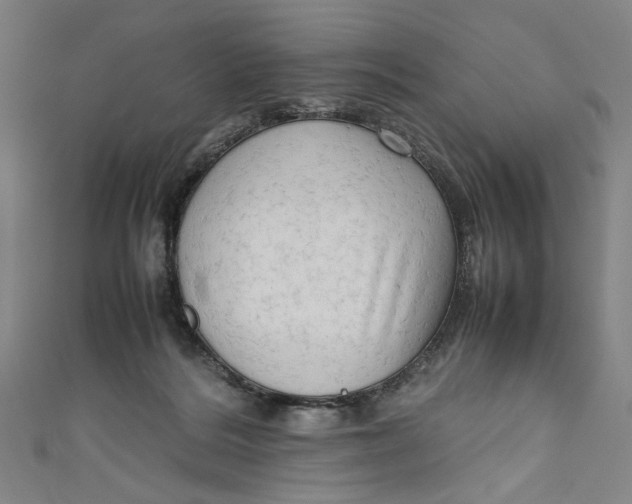 X0000111190220200907221116