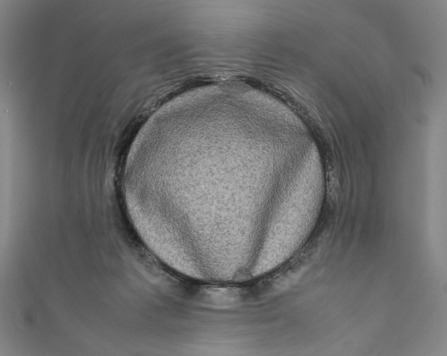 X0000111190221200907221116