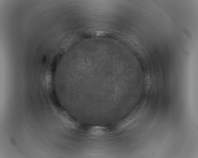 X0000111190222200907221116