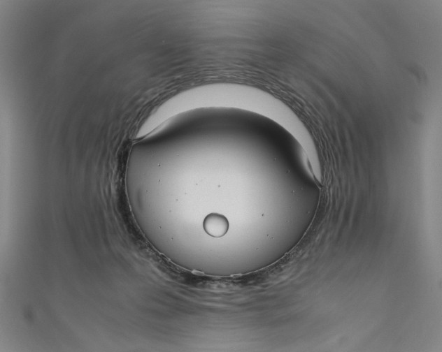 X0000111190223200907221116