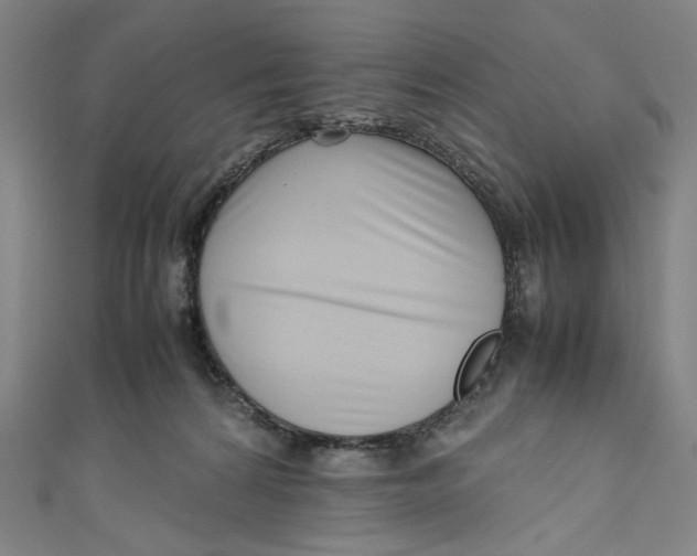 X0000111190224200907221116