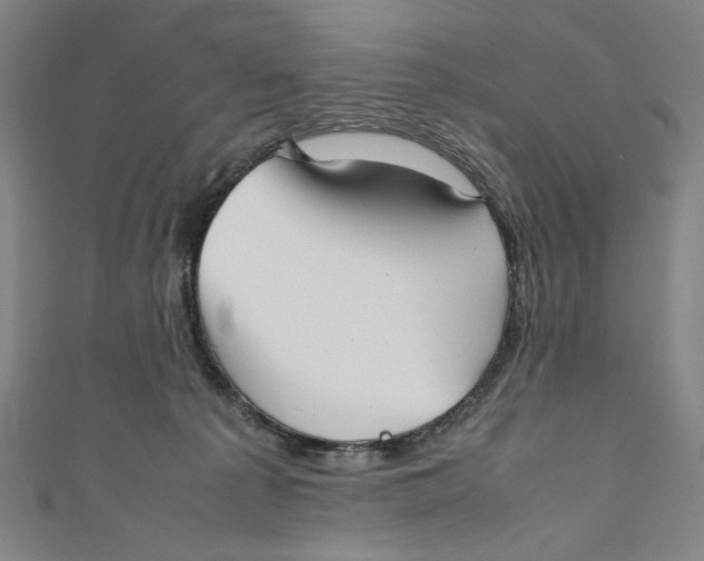 X0000111190225200907221116