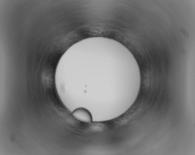 X0000111190226200907221116