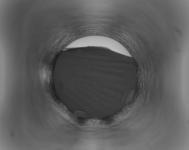 X0000111190227200907221116