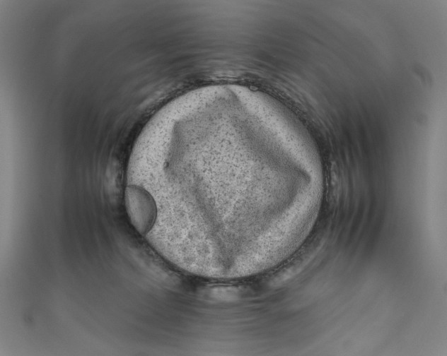 X0000111190228200907221116