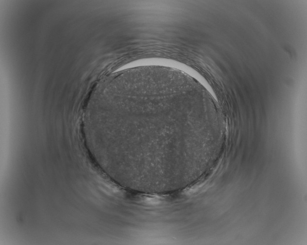 X0000111190229200907221116