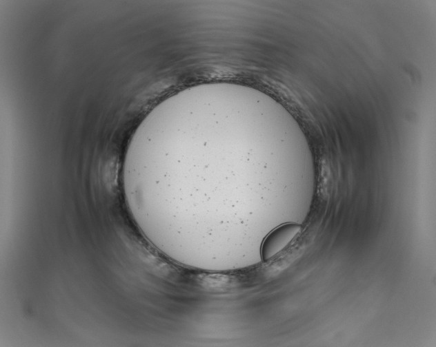 X0000111190230200907221116