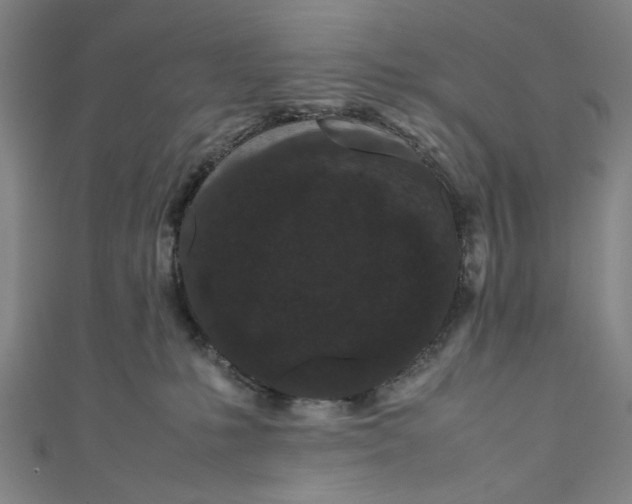 X0000111190231200907221116