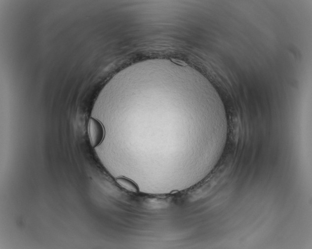 X0000111190232200907221116