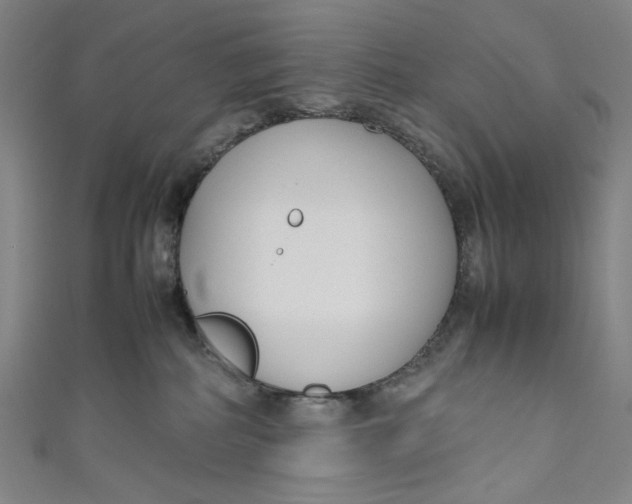 X0000111190234200907221116