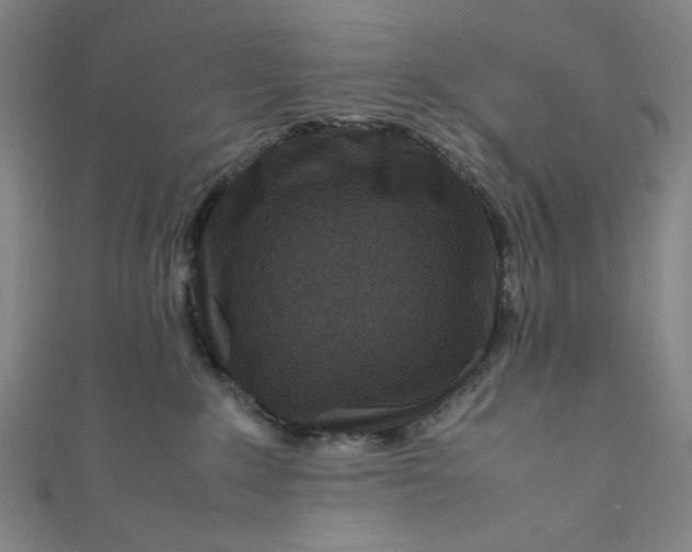 X0000111190235200907221116