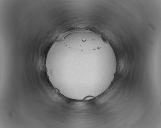 X0000111190236200907221116