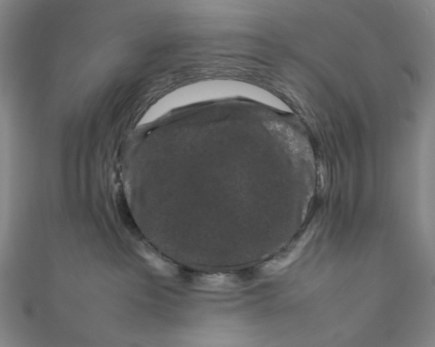 X0000111190237200907221116