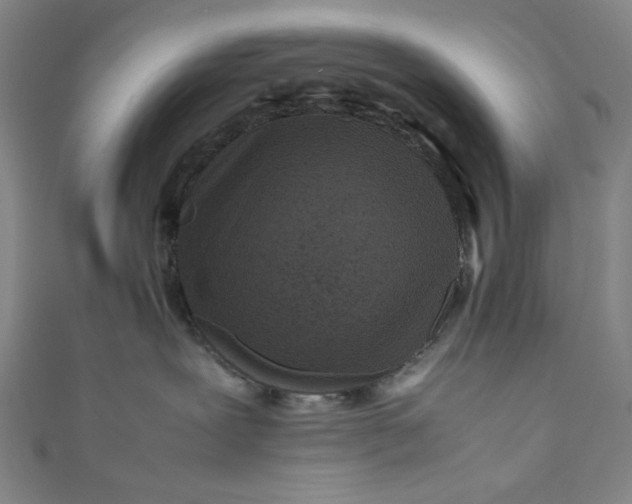 X0000111190239200907221116