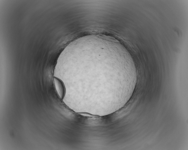 X0000111190240200907221116