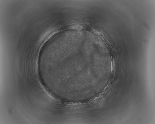 X0000111190243200907221115