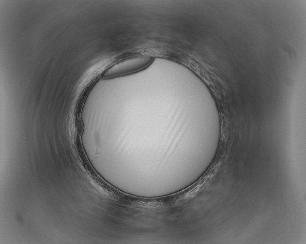 X0000111190245200907221115