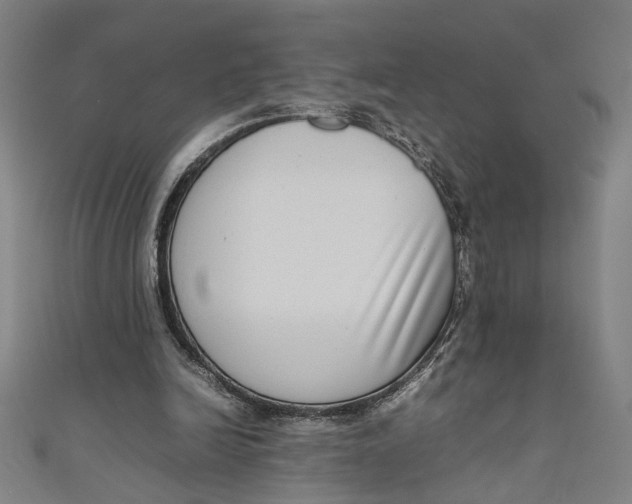 X0000111190246200907221115