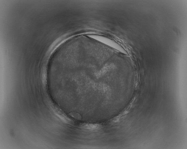 X0000111190247200907221115