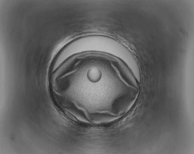 X0000111190248200907221115