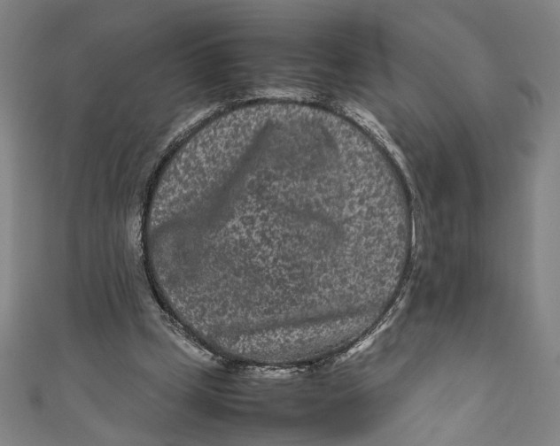 X0000111190249200907221115