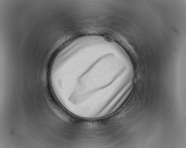 X0000111190250200907221115