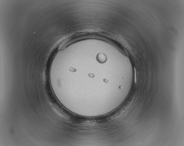 X0000111190252200907221115