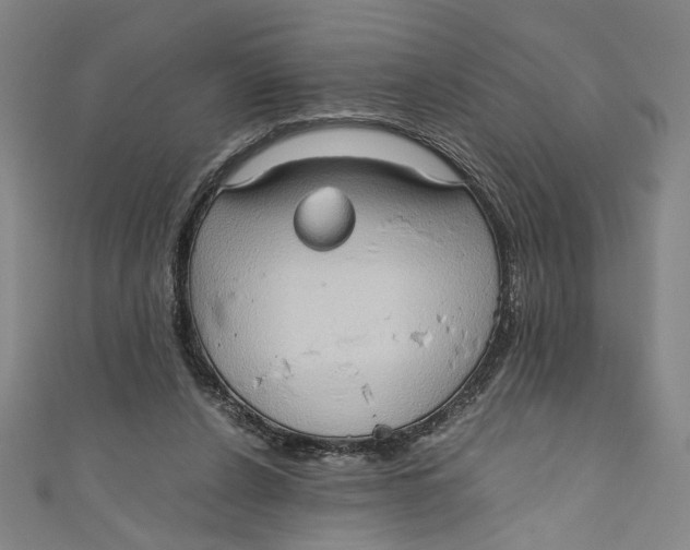 X0000111190256200907221115