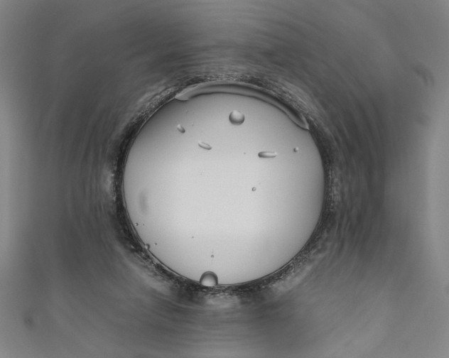 X0000111190258200907221115