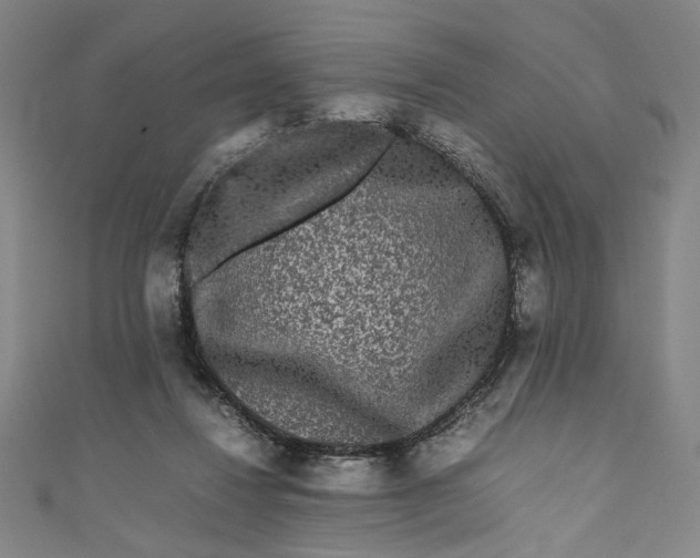 X0000111190260200907221115