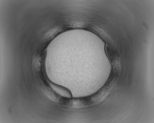 X0000111190264200907221115