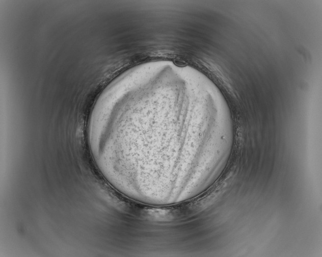 X0000111190265200907221115