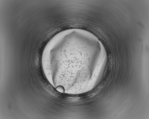 X0000111190266200907221115