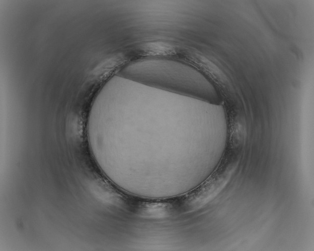 X0000111190268200907221115