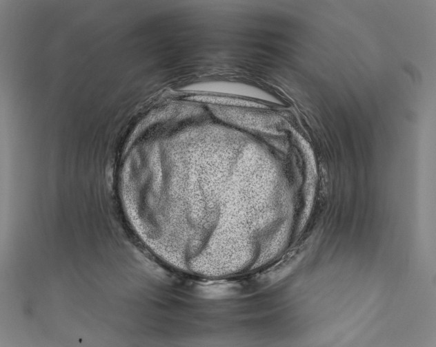 X0000111190269200907221115