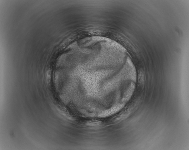 X0000111190271200907221115