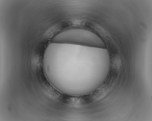 X0000111190272200907221115