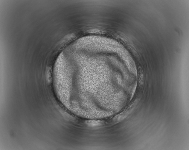 X0000111190273200907221115