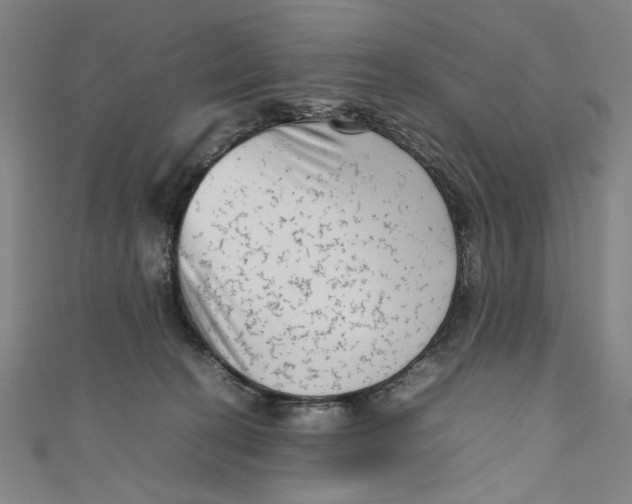 X0000111190274200907221115