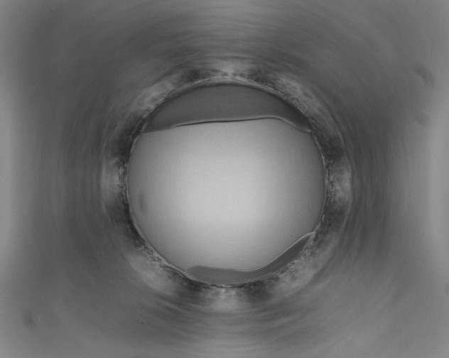 X0000111190276200907221115