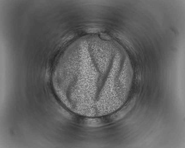 X0000111190277200907221116