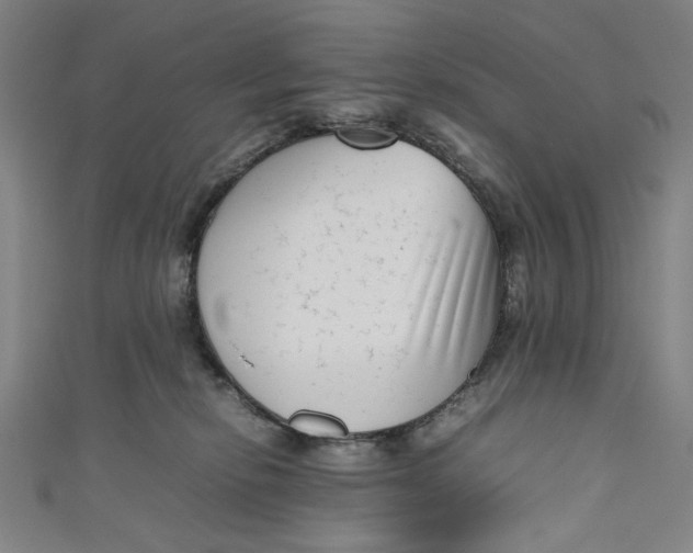 X0000111190278200907221116