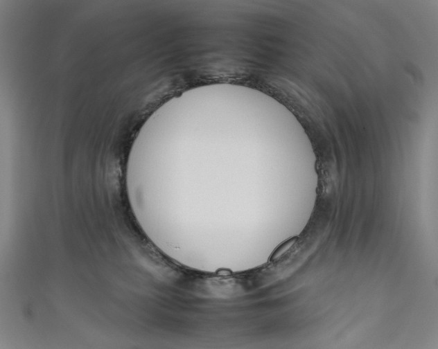 X0000111190279200907221116