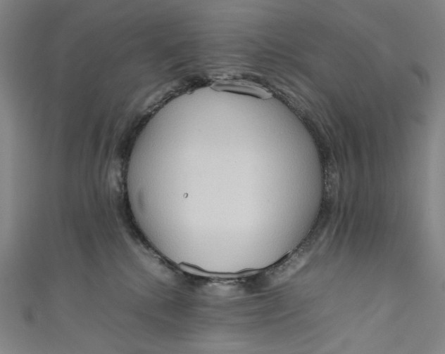 X0000111190280200907221116