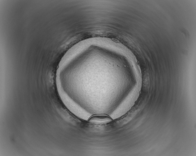 X0000111190282200907221116