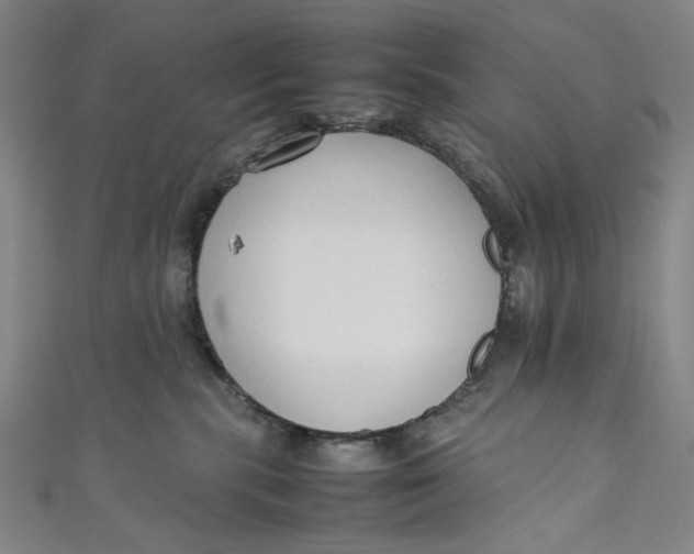 X0000111190283200907221116