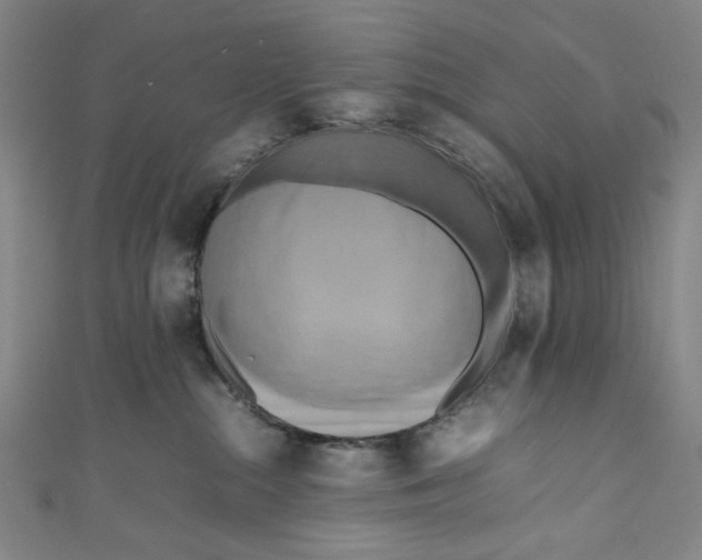 X0000111190284200907221116